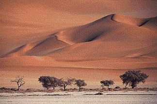 dry_desert
