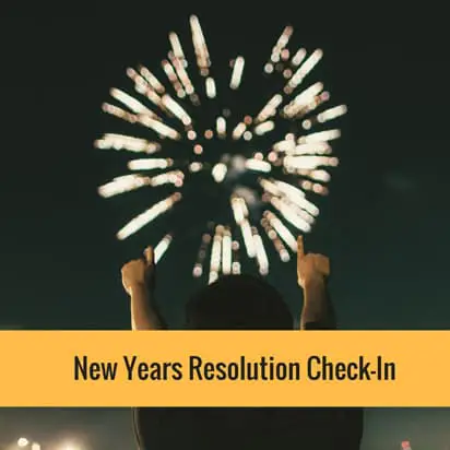 New Years Resolution Check-In