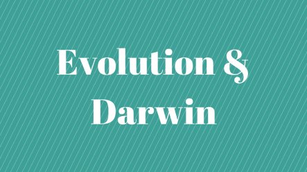 Evolution and Darwin