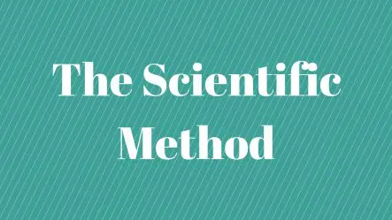 scientific method