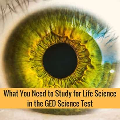 What You Need to Study for Life Science in the GED Science Test