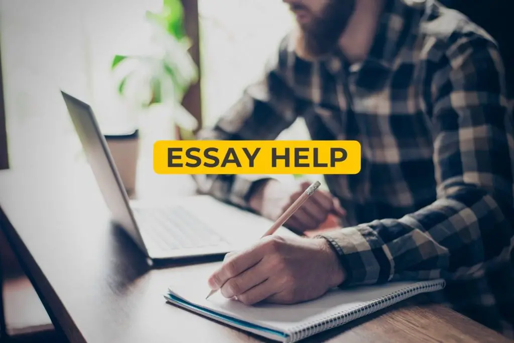 Essay Help