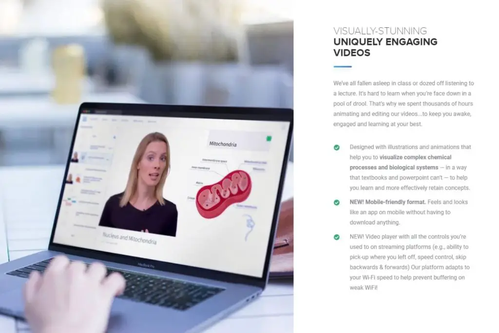 Visually Stunning and Uniquely Engaging Videos
