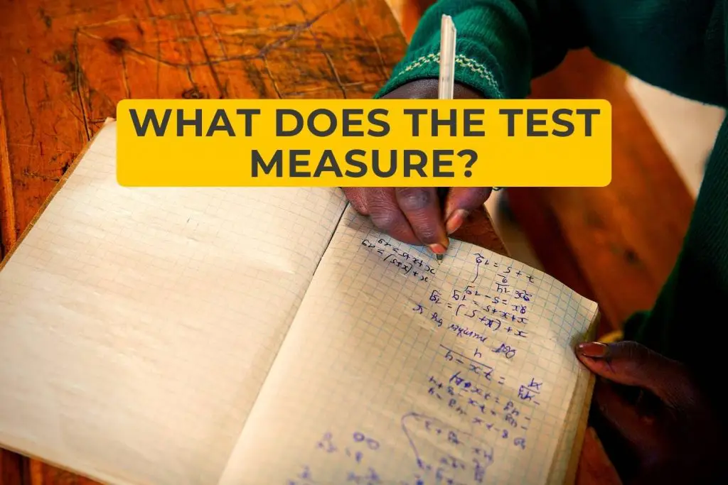 What Does The Test Measure?