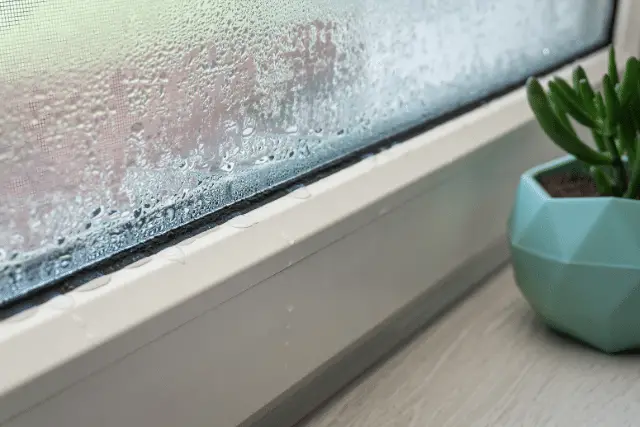 which of the following is an example of condensation