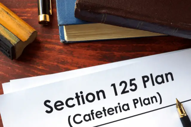 which of the following is ineligible to participate in a section 125 plan