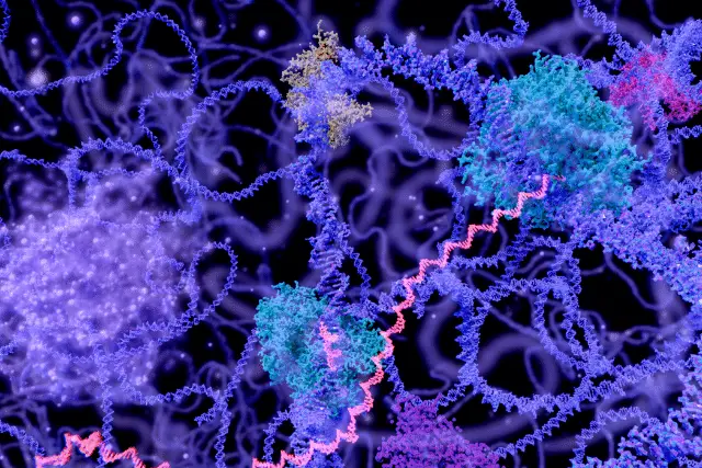 which of the following statements about enzymes is true