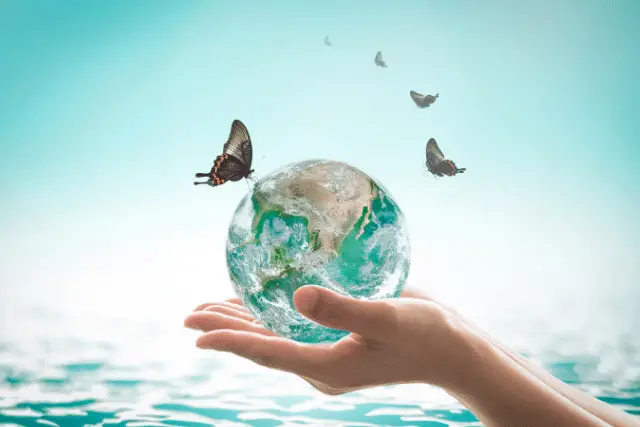 which statement is true about conservation versus preservation